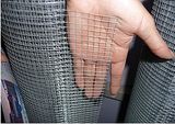 HDG Welded Wire Mesh
