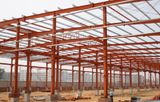 Steel Structure Building (XS-B002)