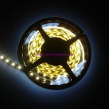 LED Flexible Strip Light With 12V Input Voltage (SUN-5050W-60)