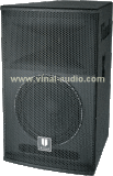 Professional Speaker (VS312)