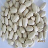 2013 New Crop Blanched Peanuts Kernels (SY002)