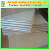 E1 Poplar Core Decorative White Melamine Plywood