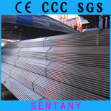Welded Square Pipe/Tube Structural Pipe Galvanized Tube