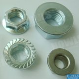 Hardware Product Flange Nut (JIS1190)