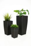 PE Rattan Baskets
