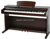 Digital Piano 100