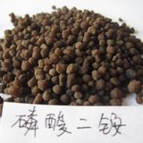 Factory on Sale Diammonium Phosphate