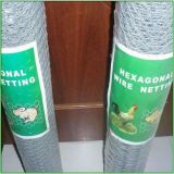 Galvanized Hexagonal Poultry Wire Netting in Roll