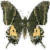 Imitation Butterfly