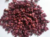 Schisandra Seed