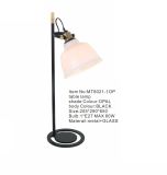 Modern Reading and Studing Metal Table Lamp (MT8021-1OP)