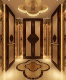 Cabin Well Designed Updated Passenger Elevator