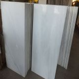 Natural Pure White Jade for Wall Cladding/Background Landscape