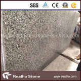 Chinese Cheap Grey Granite Slabs for Countertop/Vanitytop
