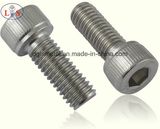 Ss304 Hex Socket Cup Head Bolt with High Strength