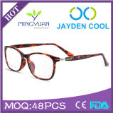 (R653) Best-Sold Fashion Tr90 Circular Optical Frames Eyewear