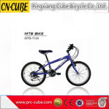 Hot Sales 20'' 21 Speed MTB Bicycles Mountain Bicycle