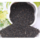 Fresh Non-Gmo Delicious Black Sesame Seeds