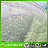 Agriculture Insect Netting