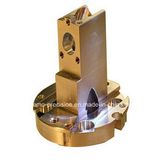 Brass CNC Machined Parts for Electronic (LM-101)