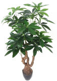 Yy-1694high Quality Artificial Evergreen Bonsai Plants Money Tree