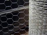 Hexagonal Wire Mesh/Anping Hexagonal Mesh/Chicken Wire Mesh