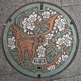 Municipal Patterns Plastic Hinged Manhole Cover Design