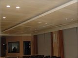 Suspended False Aluminum Ceiling