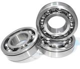 Bearings (LD6901)