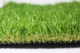 CE and SGS Artificial Turf for Landscaping