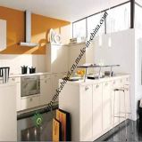 Lacquer Kitchen Cabinets Manufacture (zs-437)