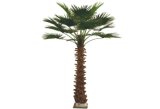 Artificial 3m Washingtonia Palm Tree (6004-300)
