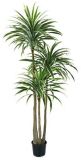 Artificial Plants and Flowers of Holland Yucca 2.95m