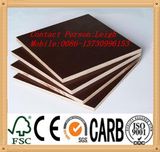 Film Faced Shuttering Plywood/Waterproof Maine Plywood
