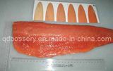 Salmon Fillet