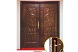 Metal Door