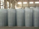 Galvanized Wire Mesh