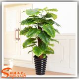 Garden Ornamental Bonsai Plastic Artificial Plant