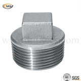 Male Thread Stainless Steel Plug (HY-J-C-0285)