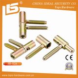 Europen Style Iron Screw Hinge (SH-02A)