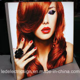 Large Outdoor LED Waterproof Advertising Light Boxes