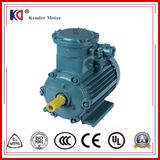 Explosion-Proof Electric AC Motor for Crusher