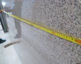 Beige Granite for Kitchen Countertop Tile Slabs