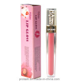Natural Happy Paris High Quality Plumping Lip Gloss Cosmetic