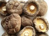Organic Dried Shiitake Mushroom 3-4cm
