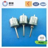 China Factory Stainless Steel Promotional 3V DC Micro Motor Shaft