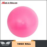 Anti Burst 65cm Gym Exercise Ball Swiss Yoga Fitness