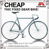 Cheap Hi-Ten Color to Order 700c Fixed Gear Bicycle (ADS-7071S)