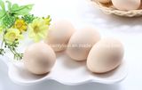Egg Lecithin (Egg Yolk Lecithin)
