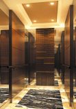 Building Elevator, Luxury Passenger Elevator